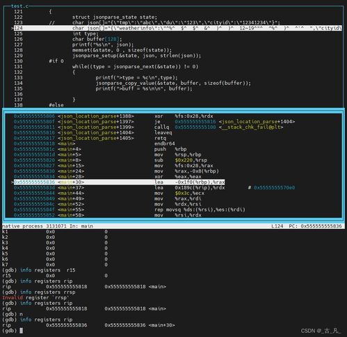 逆向入門與實戰 網絡與信息安全軟件開發的核心技能