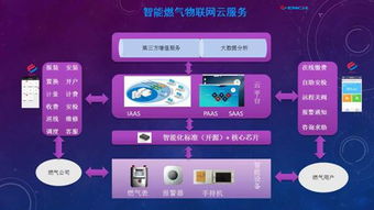 黑龍江省國家密碼管理局 筑牢網(wǎng)絡安全防線，引領信息安全軟件開發(fā)新篇章